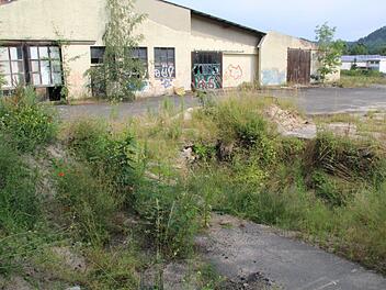 Im Zuge von Bodenuntersuchungen wurden auf dem ATS-Gelände bereits unterirdische Tanks entfernt. Foto: Matthias Beetz