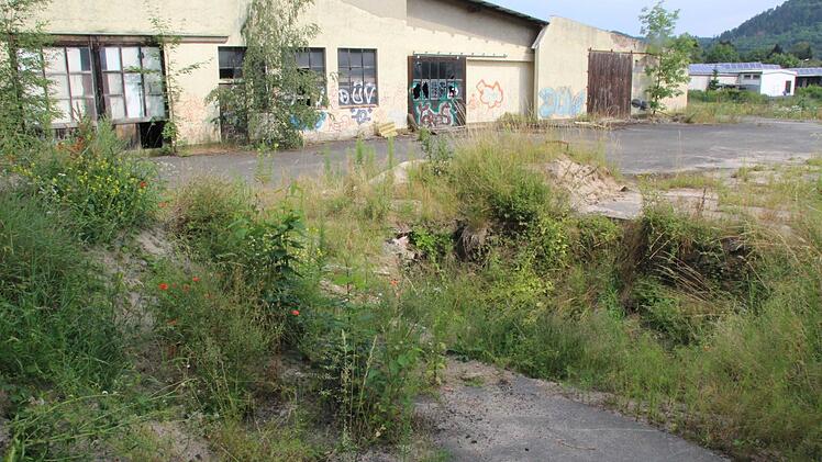 Im Zuge von Bodenuntersuchungen wurden auf dem ATS-Gelände bereits unterirdische Tanks entfernt. Foto: Matthias Beetz