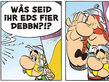 Asterix, Obelix, Asterix Comic, Asterix Obelix, Fränkisch, Das Eich, Stefan Eichner