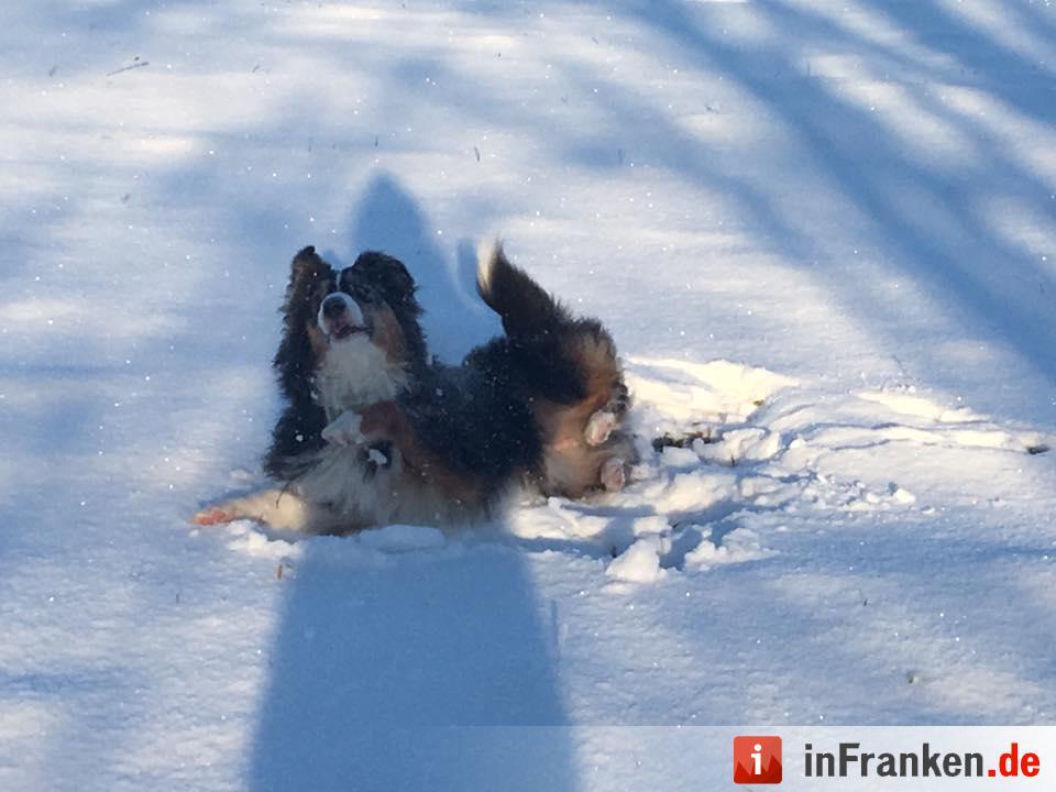 Eis und Schnee in Franken - die schönsten Winterleserfotos