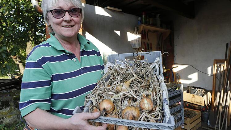 Ulrike Aas mit der alten Haussorte einer birnenförmigen Zwiebel. Foto: Matthias Hoch