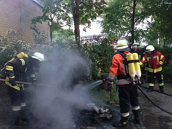 Die Kronacher Feuerwehr hatte den Brand schnell gelöscht.Foto: Stefan Wicklein