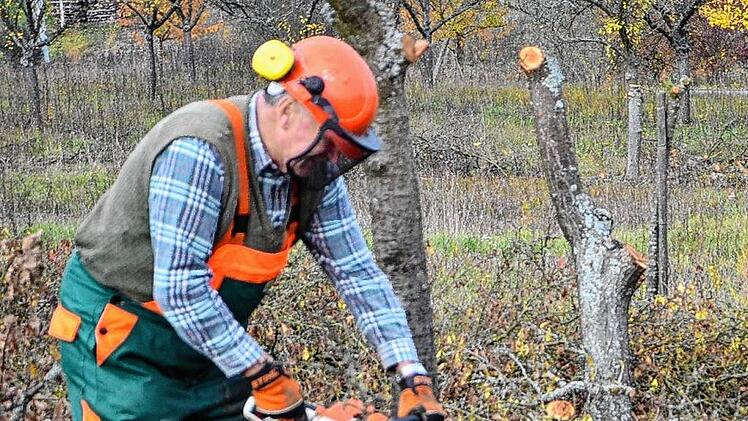 Streuobst: Neue Früchte auf alten Wiesen
