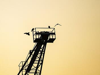 Sonnenaufgang am Mainufer