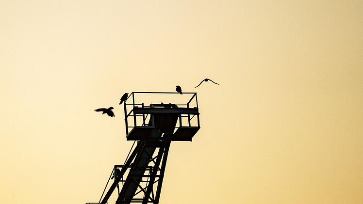 Sonnenaufgang am Mainufer