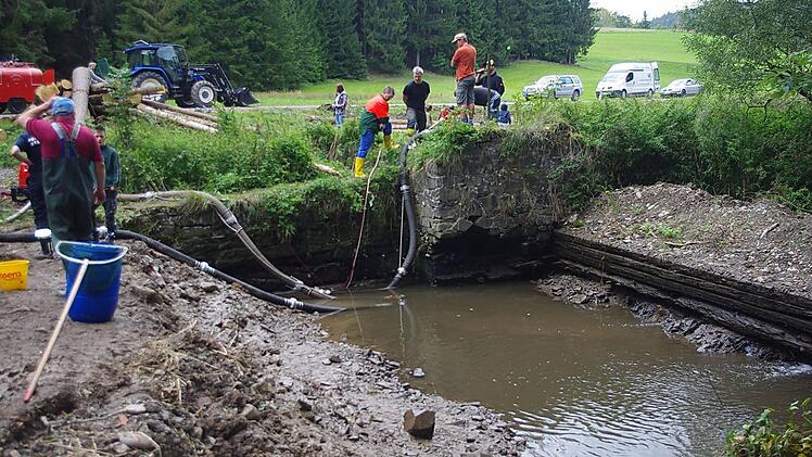 Das Gewässer wurde bis auf etwa einem halben Meter ausgepumpt. Foto: Heike Schülein