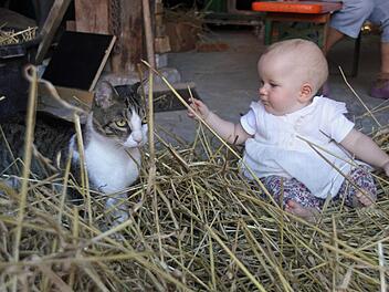 Was die Katze und Rosalie mit dem Binden der Krone zu tun haben? Sie verarbeiteten das angefallene Stroh weiter. Fotos: Michael Busch