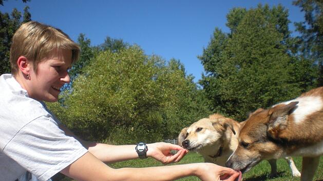 1500 Tiere werden jedes Jahr im Tierheim in Erlangen gepflegt. Fotos: Tierheim Erlangen