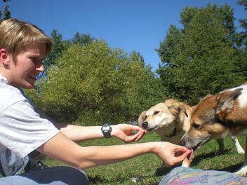 1500 Tiere werden jedes Jahr im Tierheim in Erlangen gepflegt. Fotos: Tierheim Erlangen