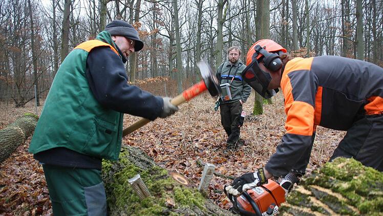 Unter den Blicken des Forstrevierleiters machen die ,Jungs' vom Bauhof einen schnittigen Job.