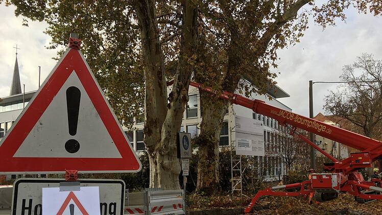 Rund um das Landratsamt. Foto: Ralf Ruppert