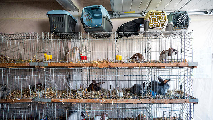 M&ouml;hrchen-Cup 2023