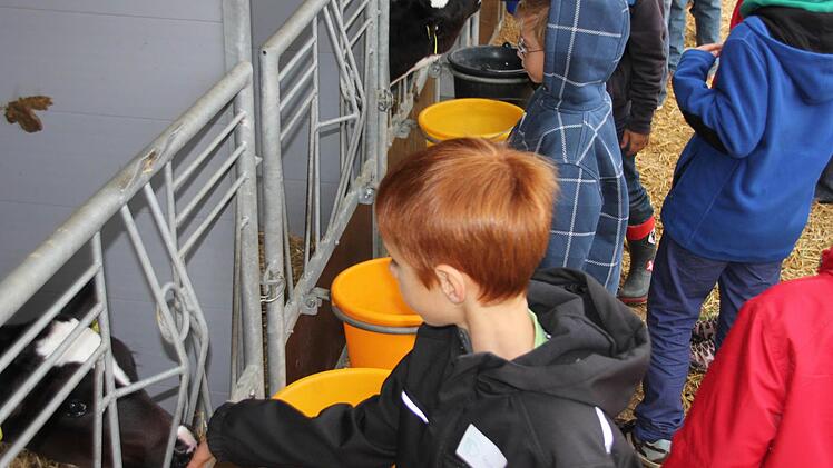 Keno ließ mal schnuppern.