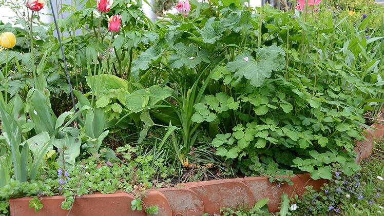Kreativ im Garten: Rosemarie Hübner aus Katschenreuth verwirklicht in ihrer grünen Oase ihre Ideen und findet dabei Ruhe und Entspannung. Foto: Dagmar Besand