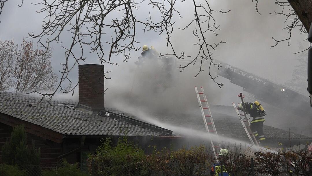 Oberfranken: Gartenhaus geht in Flammen auf - drei Welpen und eine Katze sterben