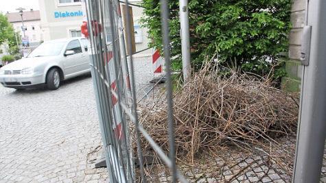 Ein Häuflein Elend: das abgestürzte Nest vor dem Alten Rathaus.  Foto: bau