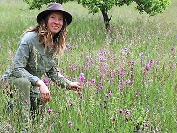 Die neue Naturparkrangerin Katja Winter kniet in einer bl&uuml;tenreichen M&auml;hwiese an einem S&uuml;dhang der Ha&szlig;berge zwischen Ebelsbach und Stettfeld. Foto: Sven D&ouml;rr