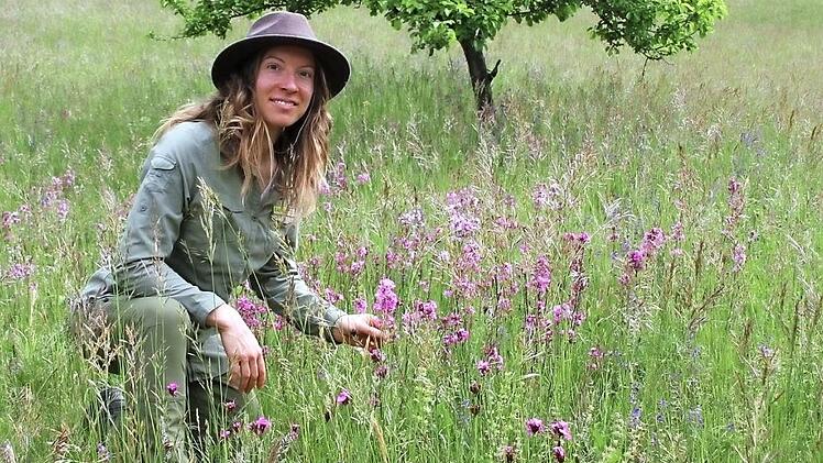 Die neue Naturparkrangerin Katja Winter kniet in einer bl&uuml;tenreichen M&auml;hwiese an einem S&uuml;dhang der Ha&szlig;berge zwischen Ebelsbach und Stettfeld. Foto: Sven D&ouml;rr