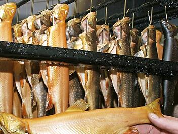 Fische im R&auml;ucherschrank Foto: pr.