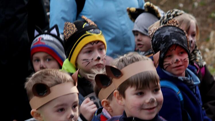 Ein Blick in die strahlenden Augen der kleinen "Wildkatzen"
