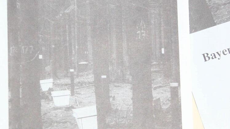 Faltblätter der Waldklimastation, die wegen ihrer Zugehörigkeit zum ehemaligen Forstamt Rothenkirchen dessen Namen trägt, liegen kostenlos am Waldhaus Waidmannsheil aus.  Repro: Friedwald Schedel