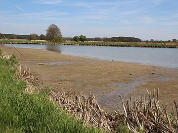 In vielen Karpfenteichen im Aischgrund fehlt heuer Wasser. Foto: Andreas Dorsch