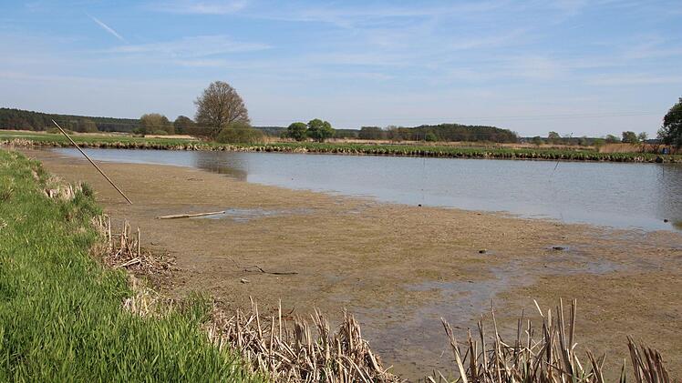 In vielen Karpfenteichen im Aischgrund fehlt heuer Wasser. Foto: Andreas Dorsch
