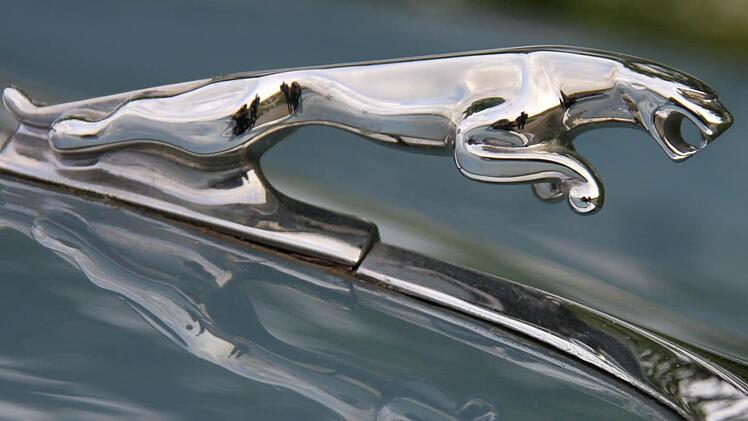 Spring, Katze! Bei rechtsgelenkten Fahrzeugen ist das Jaguar-Symbol auf der Motorhaube nicht nur Zierde, sondern hilft dem Fahrer auch, die Straßenmitte anzuvisieren. Fotos: Diana Fuchs