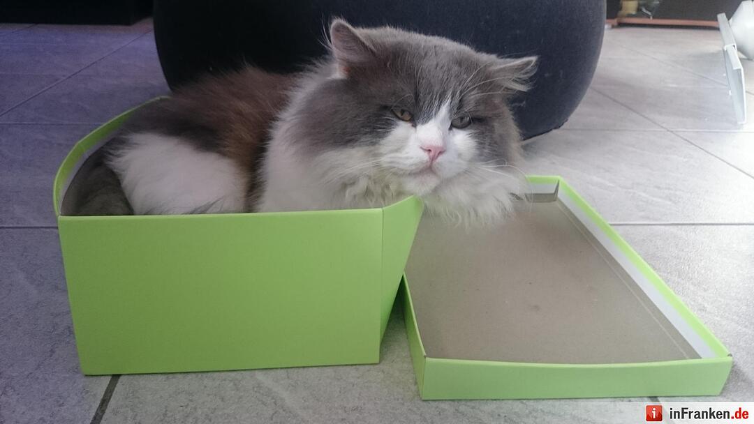 Foto: Sabrina Pfannenmüller