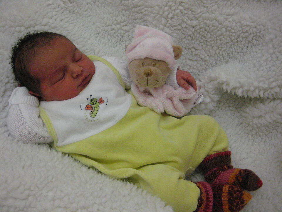 Babygalerie 338