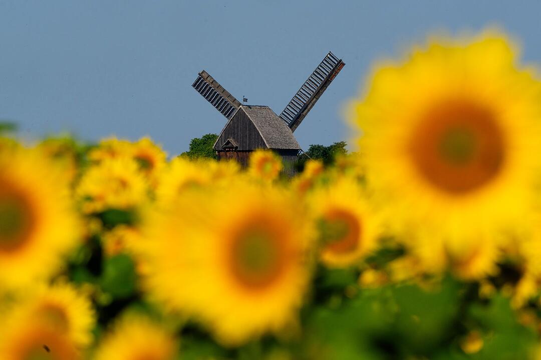 Wetter in Brandenburg
