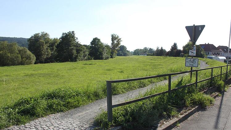 Auf gut vier Kilometern Länge wird der Hauptdeich in Michelau (im Bild die Auffahrt am Anger) verstärkt und erhöht. Foto: Popp