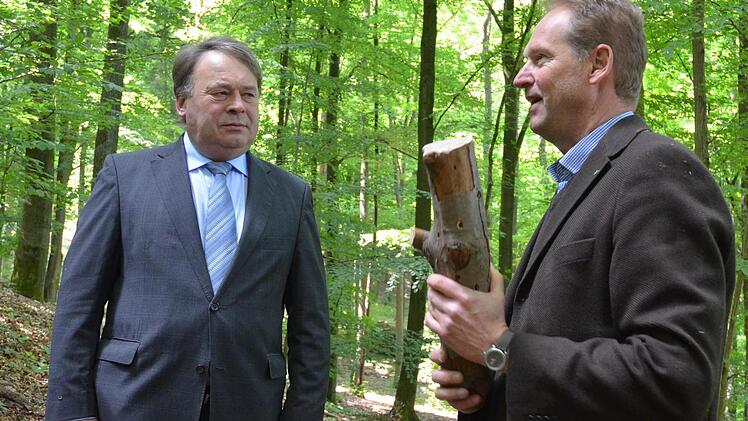 Volker Zahner (rechts), Dekan der Hochschule Weihenstephan-Triesdorf, ist Professor für Zoologie und Tierökologie. Er erklärt Staatsminister Helmut Brunner die Bedeutung des Schwarzspechts für das Ökosystem Wald. Fotos: Rainer Lutz