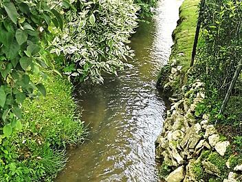 Die Schönheit des Mühlbachs ist in Gefahr. Die Planer wollen den Bach in einem Rohr verschwinden lassen. Foto: Carmen Schwind