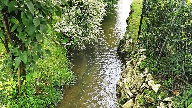 Die Schönheit des Mühlbachs ist in Gefahr. Die Planer wollen den Bach in einem Rohr verschwinden lassen. Foto: Carmen Schwind