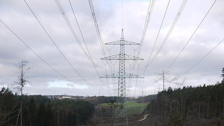 Kein schöner Anblick: Wer von der Anhöhe neben der Bundesstraße 303 kurz vor Sonnefeld Richtung Ebersdorf blickt, erkennt die Ausmaße, die eine Höchstspannungsleitung hat. Morgen geht es bei der Protestveranstaltung vor der HUK-Coburg Arena darum, ein Zeichen gegen den Bau weiterer Trassen im Landkreis zu setzen. Foto: Berthold Köhler