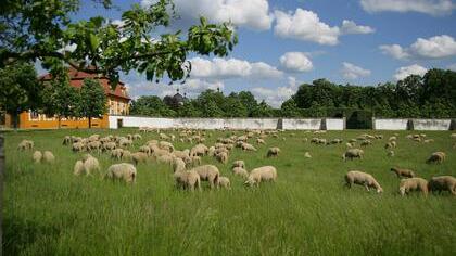 Memmelsdorf bietet die perfekte Mischung aus Erholung in der Natur und bester Nahversorgung im Ort.