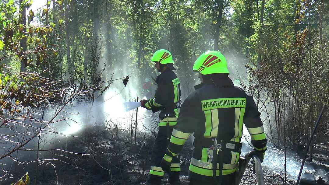 Waldbrand im Kreis Haßberge: Feuerwehr kämpft mit Großaufgebot gegen die Flammen