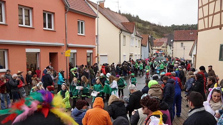 Faschingszug in SulzthalFoto: Arkadius Guzy