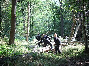 Strom-Sabotage: Suche nach Verd&auml;chtigem am Hambacher Forst