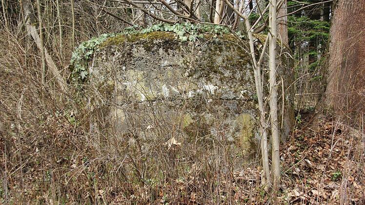 Die Stellung an der Nordbrücke ist von Bewuchs überwuchert.  Foto: Friedwald Schedel