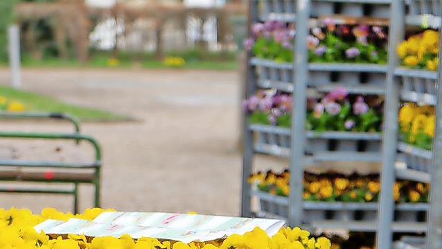 Seit Beginn der Woche arbeitet das Garten-Team der Bayerischen Staatsbad Bad Kissingen GmbH an der Fr&uuml;hjahrsbepflanzung.