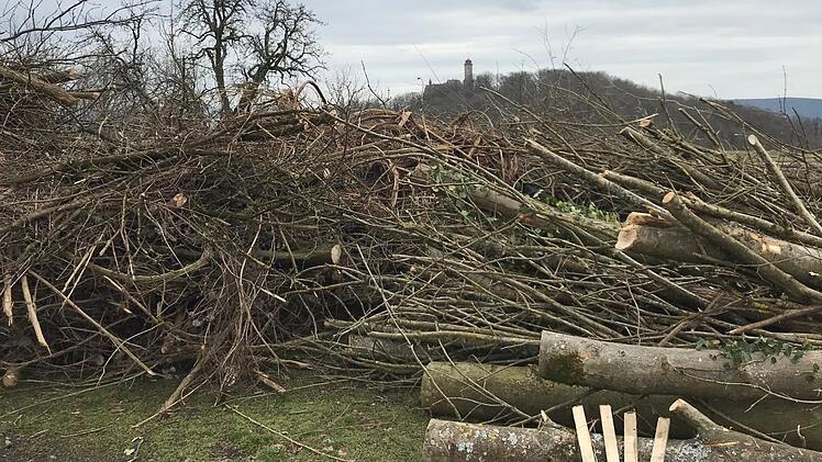 Der Blick Richtung Altenburg wird durch Berge von Abfallholz verstellt - mit dem Hochbehälter-Projekt hat das aber laut Stadtwerke  nichts zu tun.