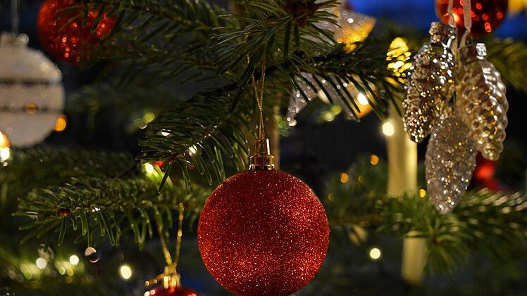 Kulmbach: Welcher ist der schönste Weihnachtsbaum? Abstimmung läuft