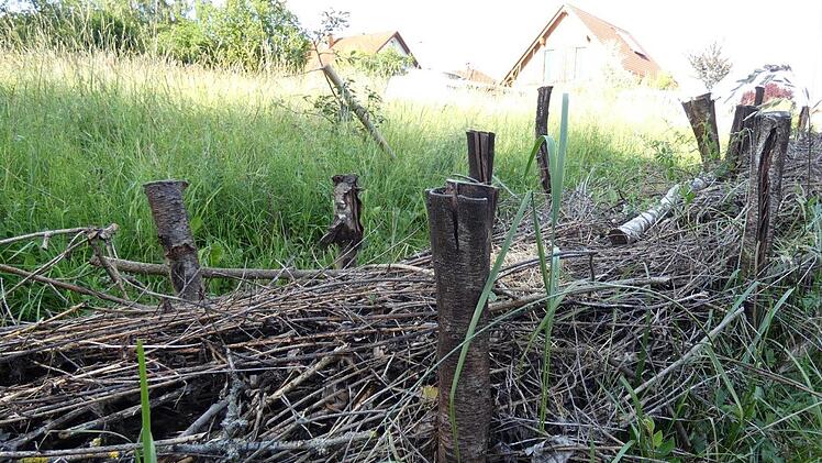 Bei einem sozialen Projekt wurde gemeinsam mit behinderten Menschen eine Benjeshecke angelegt.