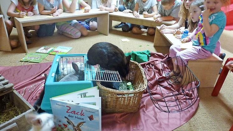 Kaninchen erkunden die Bücherei. Foto: Stadtbibliothek
