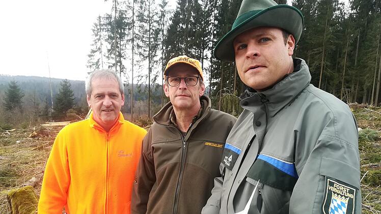 Gemeinsam begutachten (von links) Michael Hornung, Geschäftsführer der Waldbesitzerverband Steigerwald, Thomas Rabe, Revierleiter Crailsheimische Forstverwaltung, und  Benjamin Göbel, Forstamtmann beim  Amt für Ernährung, Landwirtschaft und Forsten Bamberg, die Fläche, auf der der Mini-Tornado gewütet hat.Diana Becht-Zwetkov