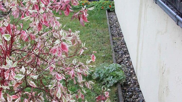 Eine Möglichkeit eines behindertengerechten Zuwegs zu Friedhof und Kirche in Zeyern böte sich hinter dem Pfarrsaal.  Foto: Friedwald Schedel