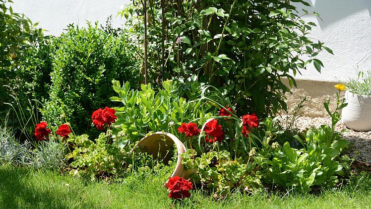 Impressionen aus dem Garten Michaelis in Schirradorf Foto: Dagmar Besand