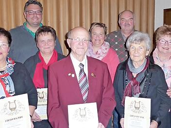 Die Ehrung (von links): Margit Hofmann, Vizebürgermeister Marco Friepes, Ingrid Schmitt, Josef Albrecht, Vorsitzende Manuela Wunner, Georg Birkel, Gerda Hack, Heidi Amon, Adam Martin  Foto: privat